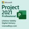 Microsoft Project 2021 Professional