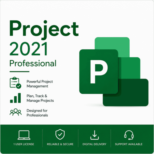 Project 2021 Professional by lisensekeys
