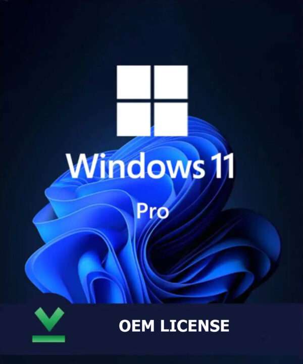 Windows 11 Pro Oem