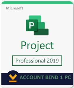 project 2019 professional account bind