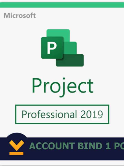 project 2019 professional account bind