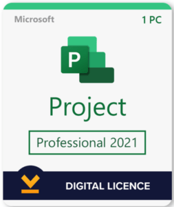 Project 2021 professional