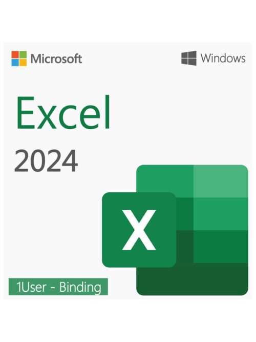 Microsoft Excel 2024