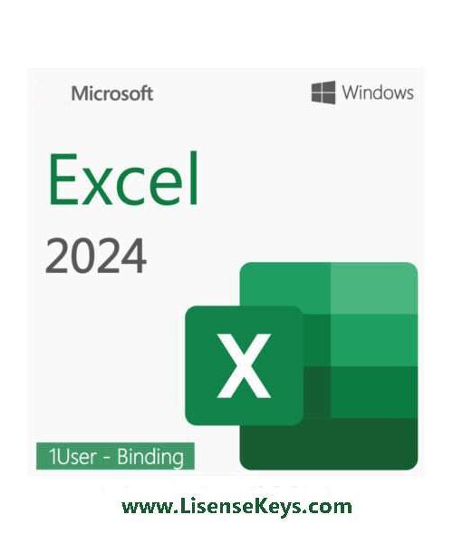 Excel 2024