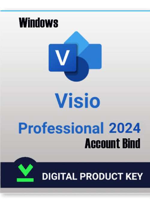 visio Pro 2024