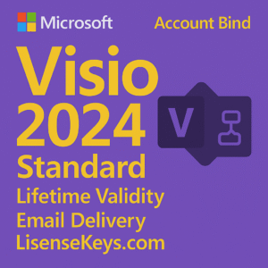 Microsoft Visio 2024 Standard Account Bind