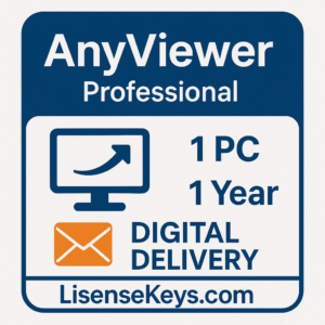AnyViewer Professional 1 User 1 Year